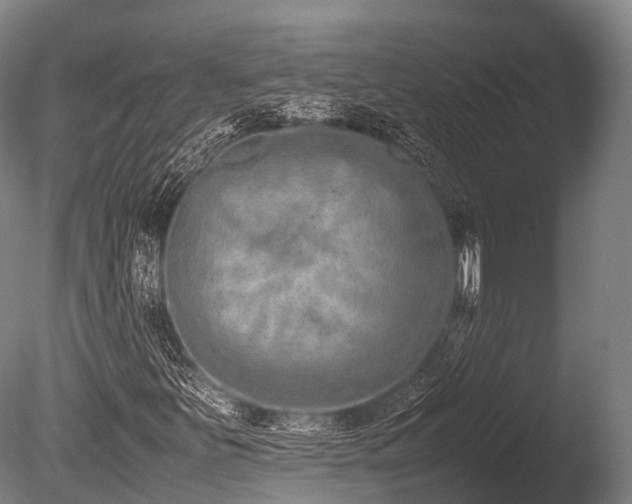 X0000086111251200703231452