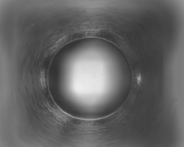 X0000086111252200703231452