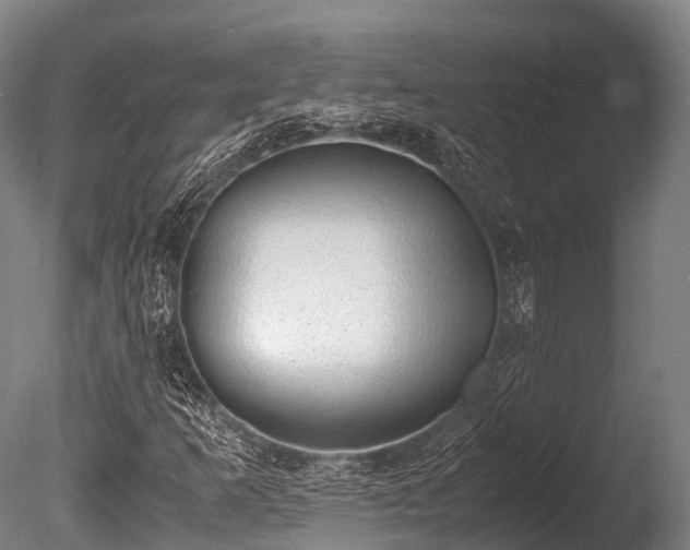 X0000086111253200703231452