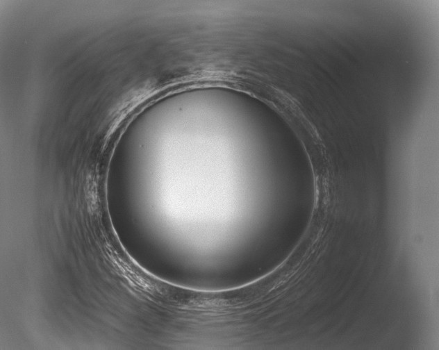 X0000086111260200703231452