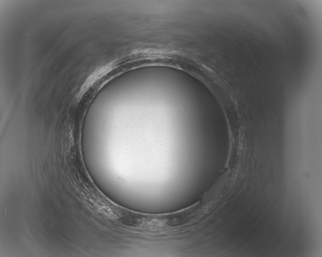 X0000086111261200703231452