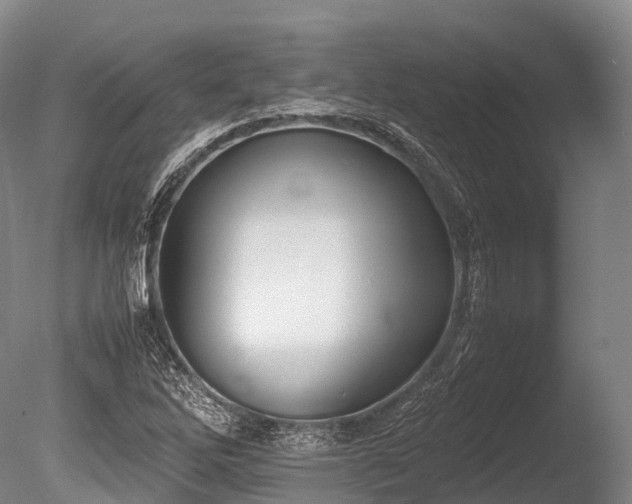 X0000086111262200703231452