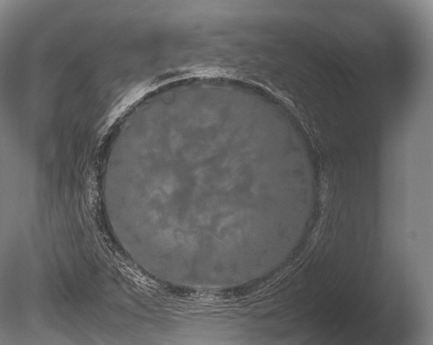 X0000086111263200703231452