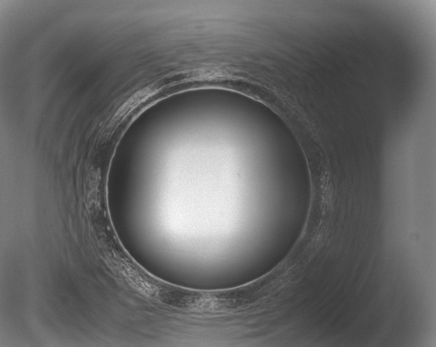 X0000086111265200703231452