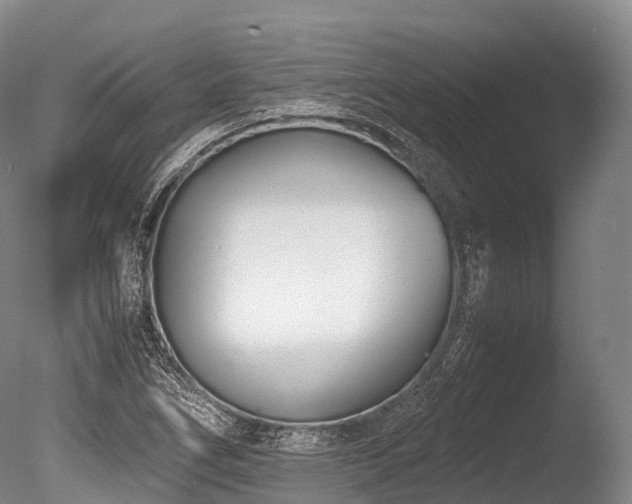 X0000086111266200703231452