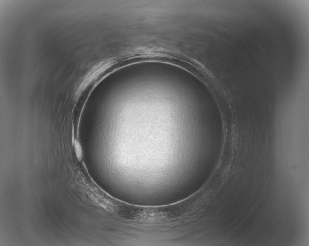 X0000086111269200703231452