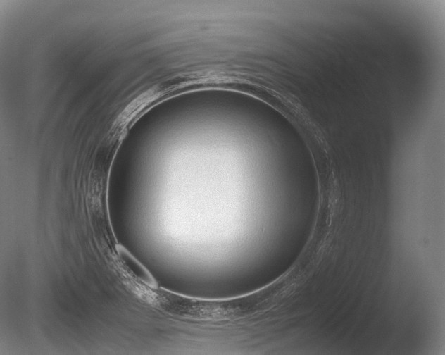 X0000086111273200703231452