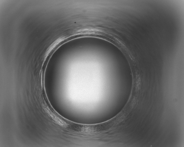 X0000086111275200703231452