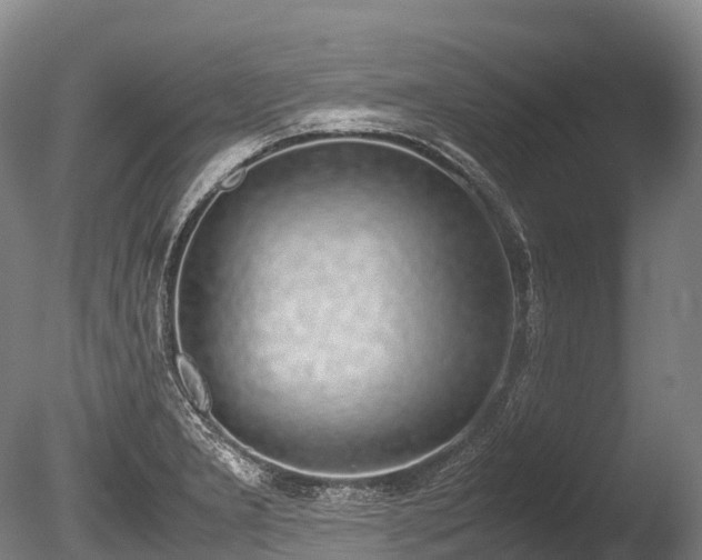 X0000086111277200703231451