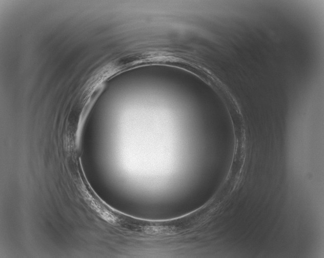 X0000086111281200703231451