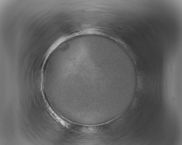 X0000086111286200703231451
