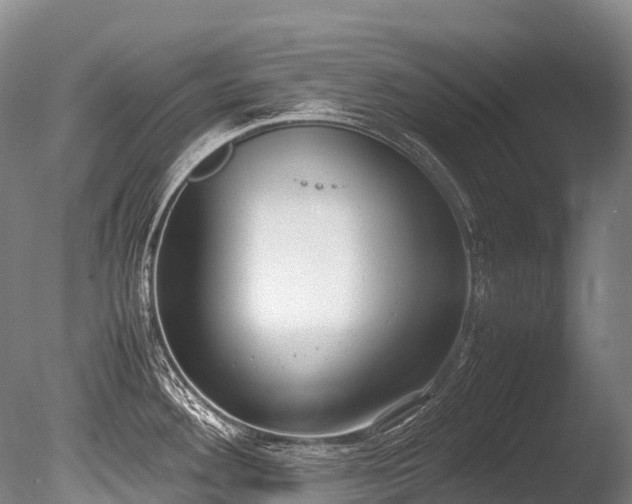 X0000086111292200703231451