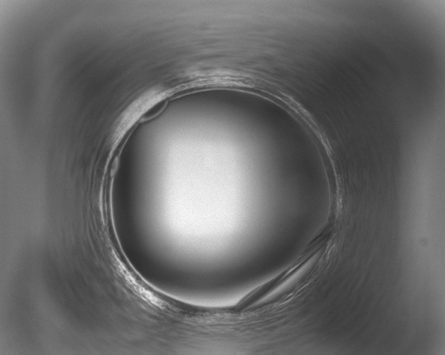 X0000086111293200703231451
