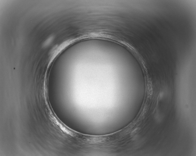 X0000086111294200703231451