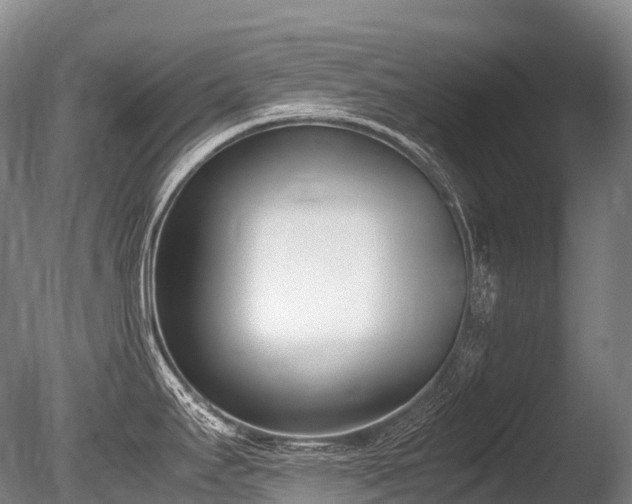 X0000086111295200703231451