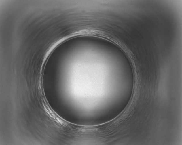 X0000086111296200703231451