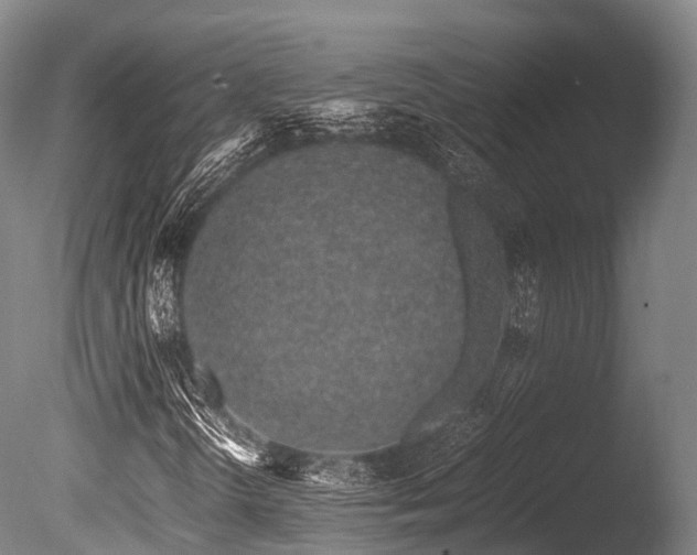 X0000086111298200703231450