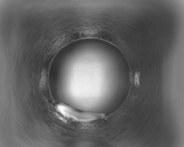 X0000086111299200703231450