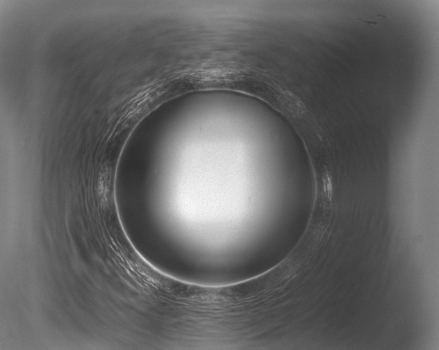 X0000086111300200703231450