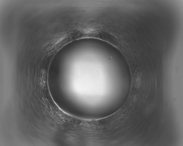 X0000086111301200703231450