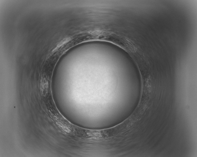 X0000086111302200703231450