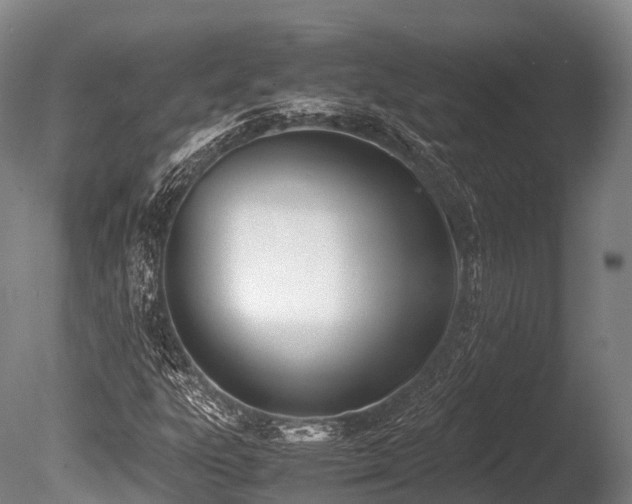 X0000086111303200703231450