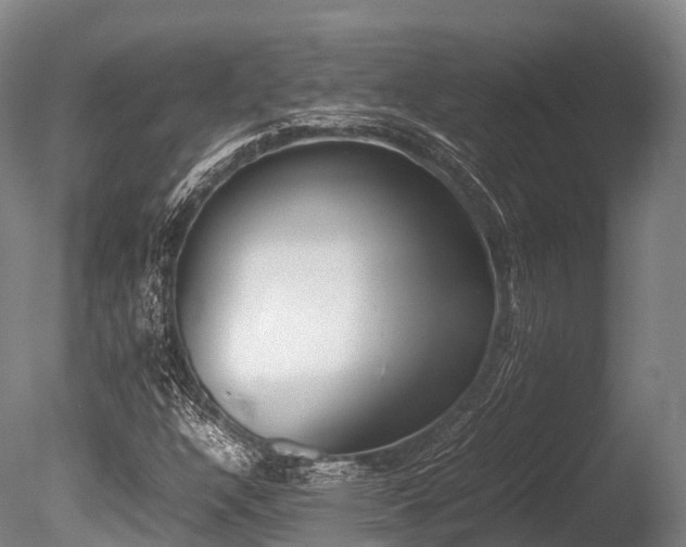 X0000086111304200703231450