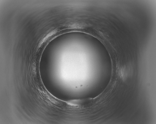 X0000086111307200703231450