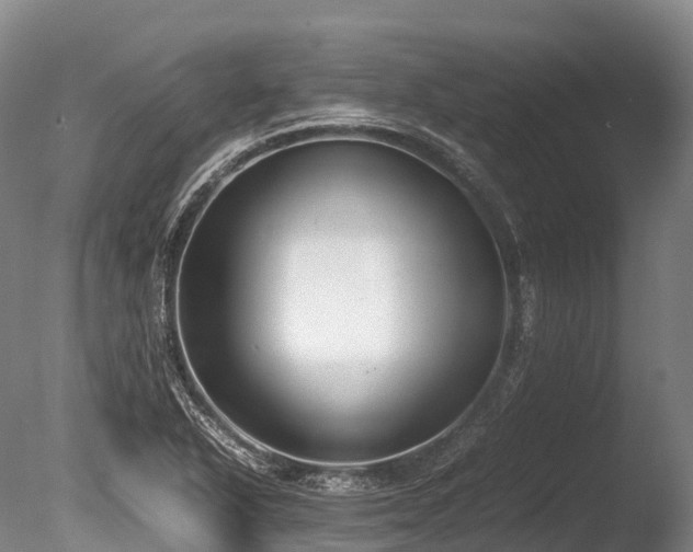 X0000086111318200703231451