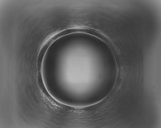 X0000086111319200703231451