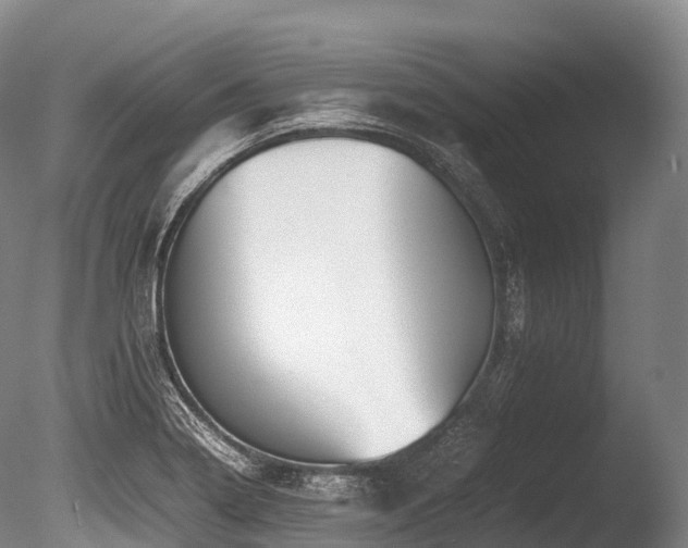 X0000086111322200703231451