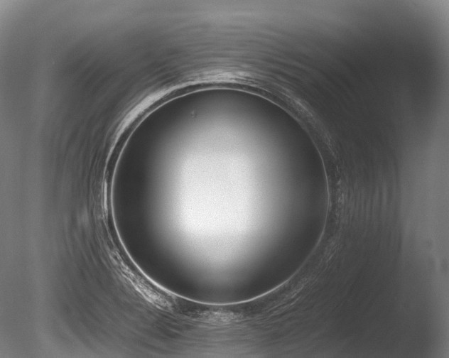 X0000086111324200703231451