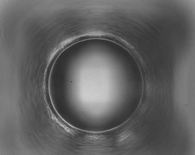 X0000086111327200703231451