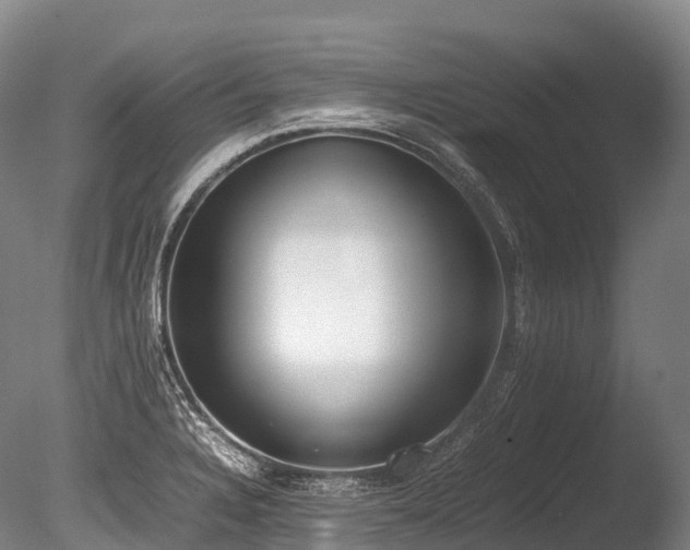 X0000086111328200703231451