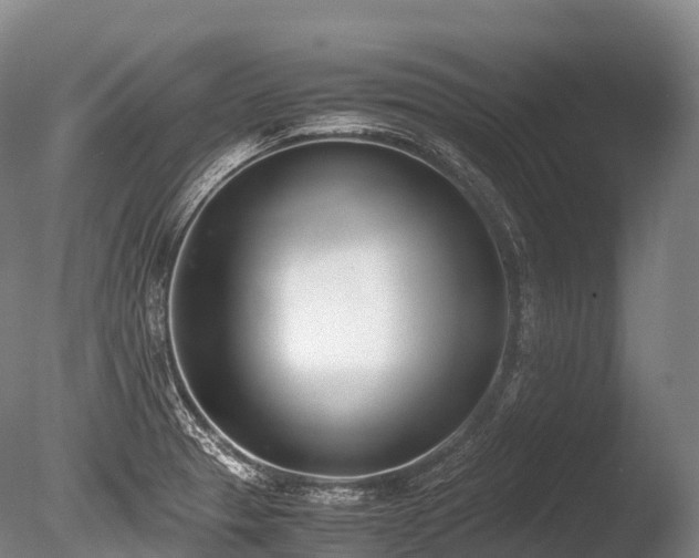 X0000086111329200703231451