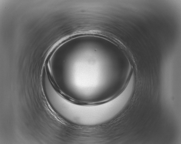 X0000086111332200703231451