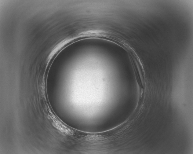 X0000086111336200703231451