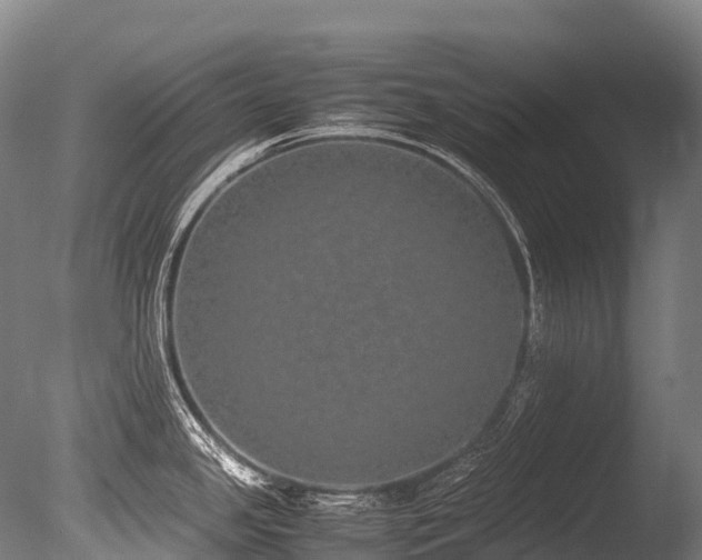 X0000086111341200703231451