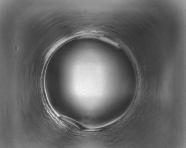 X0000086111344200703231451