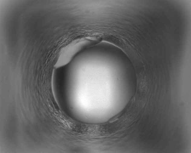 X0000086111345200703231450