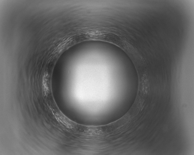 X0000086111346200703231450
