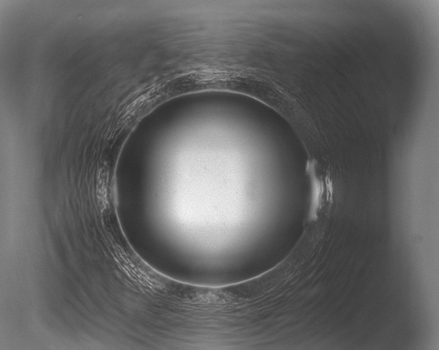 X0000086111348200703231450