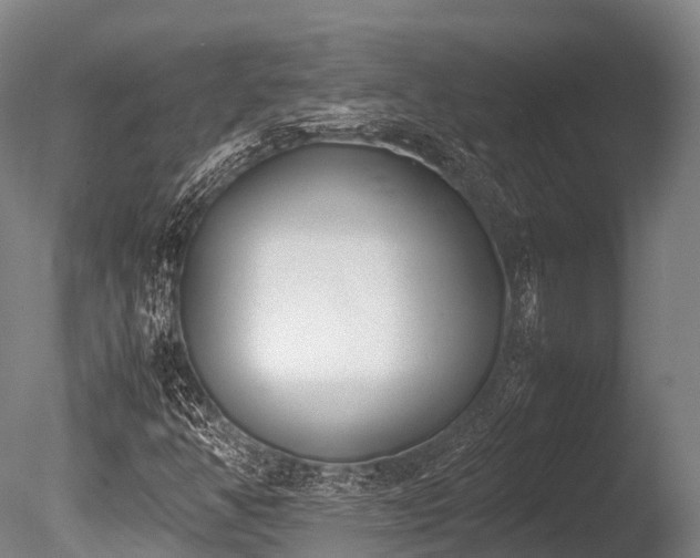 X0000086111350200703231450