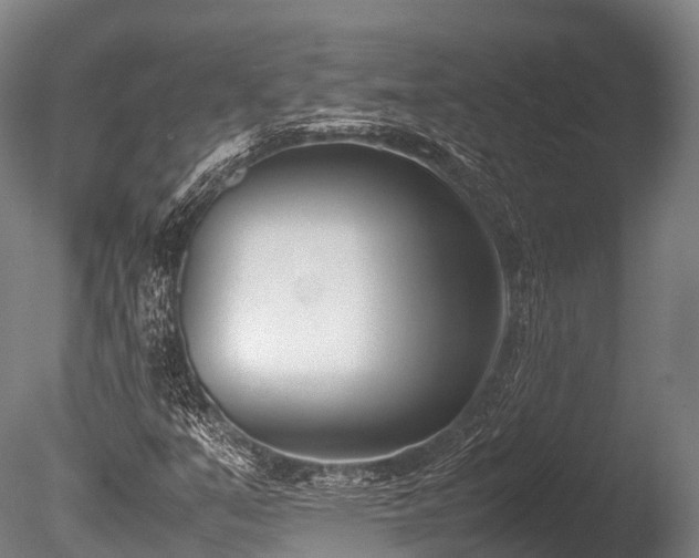 X0000086111351200703231450