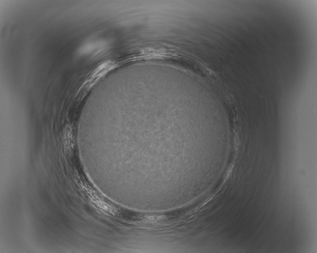 X0000086111353200703231450