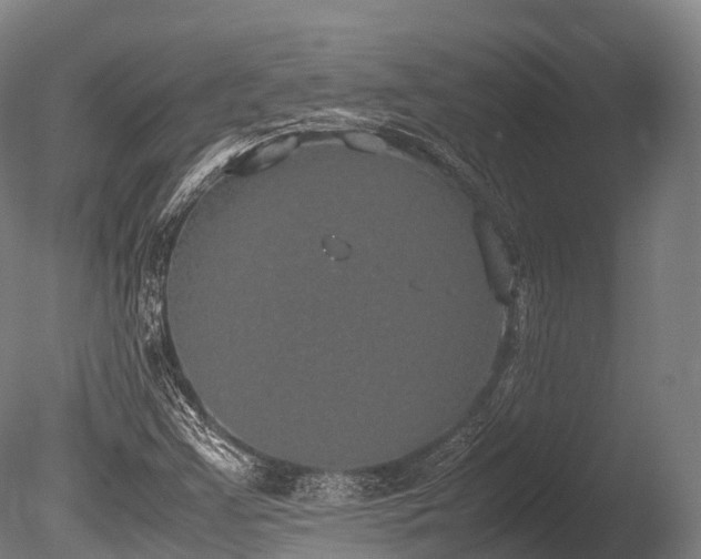 X0000086111355200703231450
