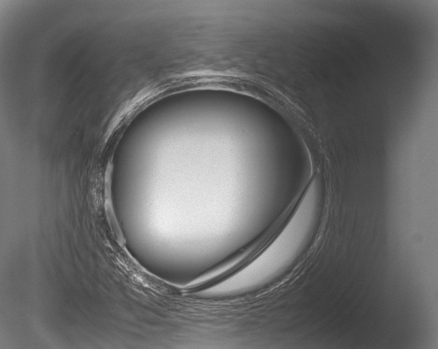 X0000086111357200703231450