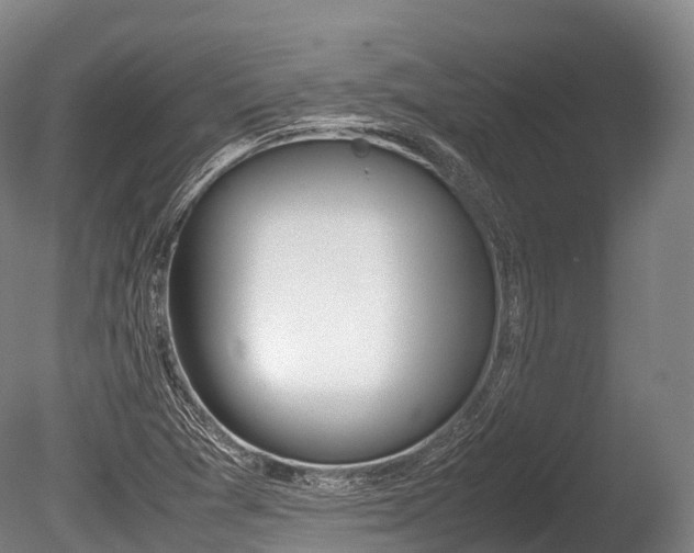 X0000086111361200703231450