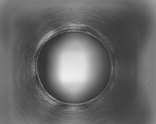 X0000086111362200703231450