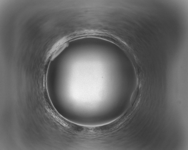 X0000086111365200703231450